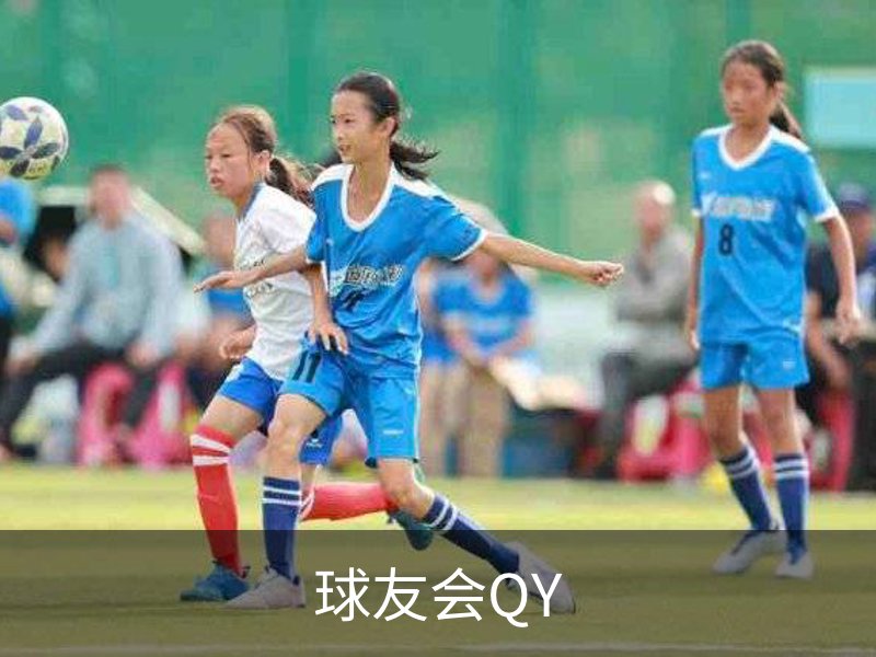 球友会QY介绍